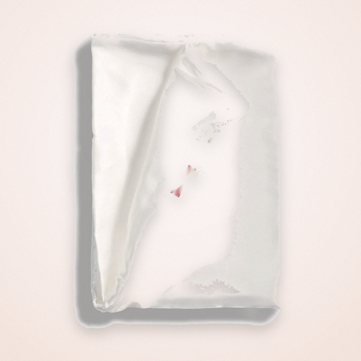 Satin Pillowcase with Zipper, Ivory, Standard/Queen, photo 2