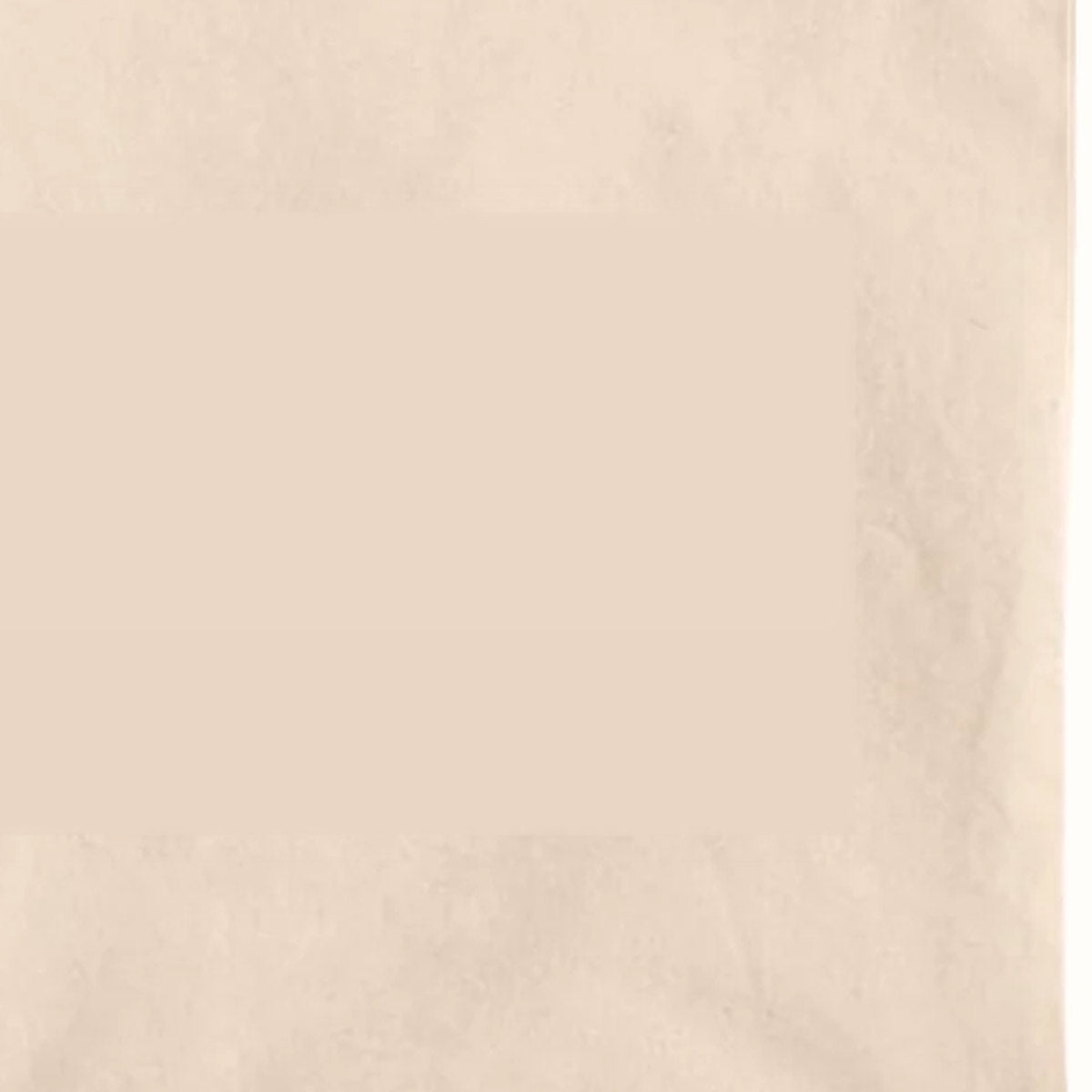 Cotton Canvas Tote Bag for Styling Tools and Beauty Essentials, photo 3